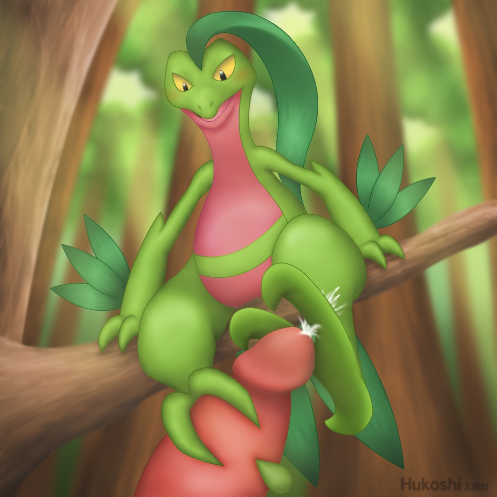 1boy anthro blush cum feet footjob grovyle hukoshi male penis pokemon rule34