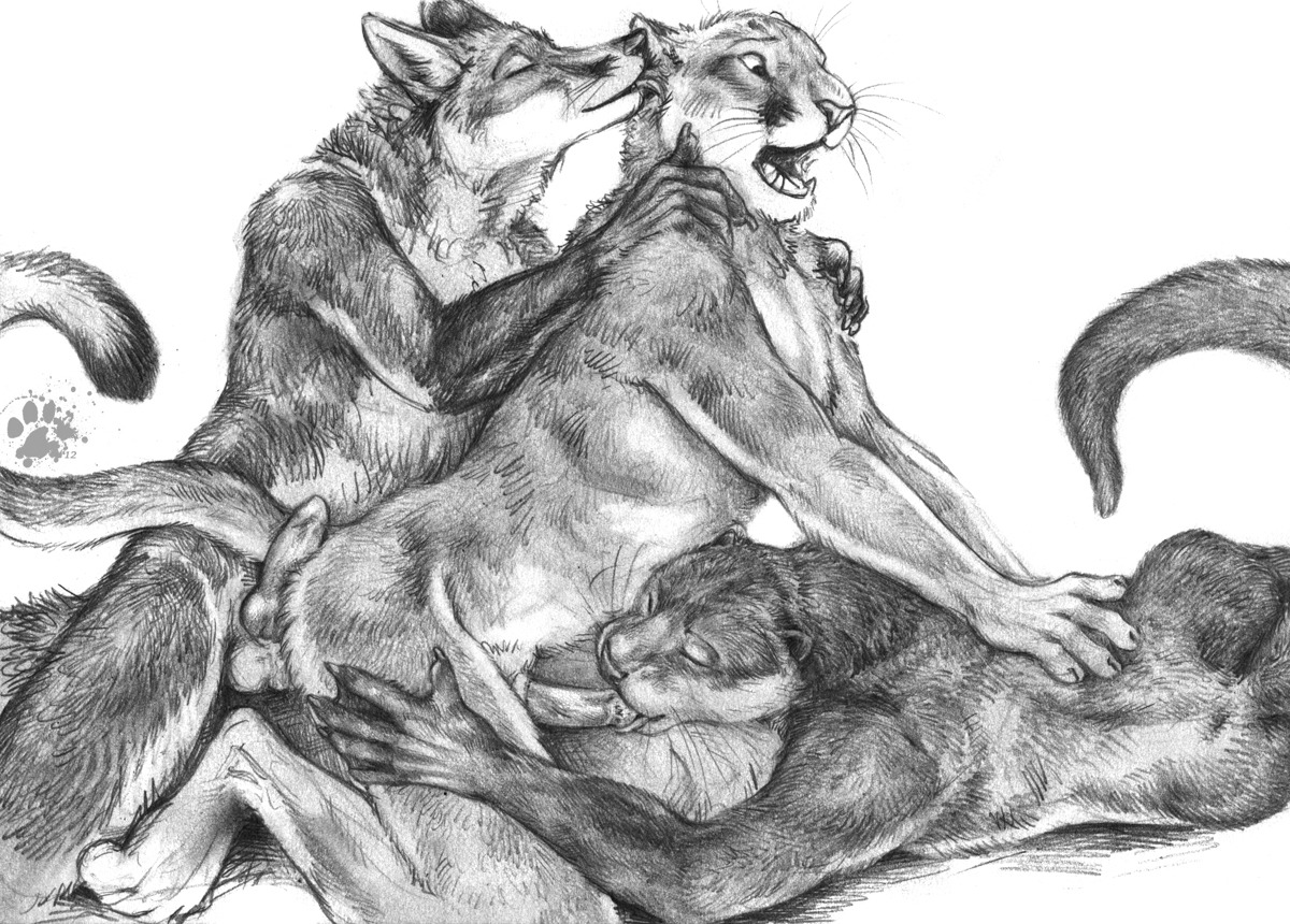 2012 animal_genitalia animal_penis anthro balls blotch canid canine canine_genitalia canine_penis cougar e621 ears_back erection eyes_closed felid feline feline_genitalia feline_penis fellatio fox genitals group group_nudity group_sex hand_on_back hand_on_shoulder interspecies kneeling knot licking looking_down lying male male/male male_penetrated male_penetrating male_penetrating_male mammal membrane_(anatomy) monochrome mustelid nude on_front open_mouth oral oral_penetration otter penetration penile penile_spines penis pivoted_ears red_fox scratches_volume_6 sex sharp_teeth simple_background teeth threesome tongue tongue_out torso_grab traditional_media_(artwork) trio true_fox vein webbed_hands whiskers white_background
