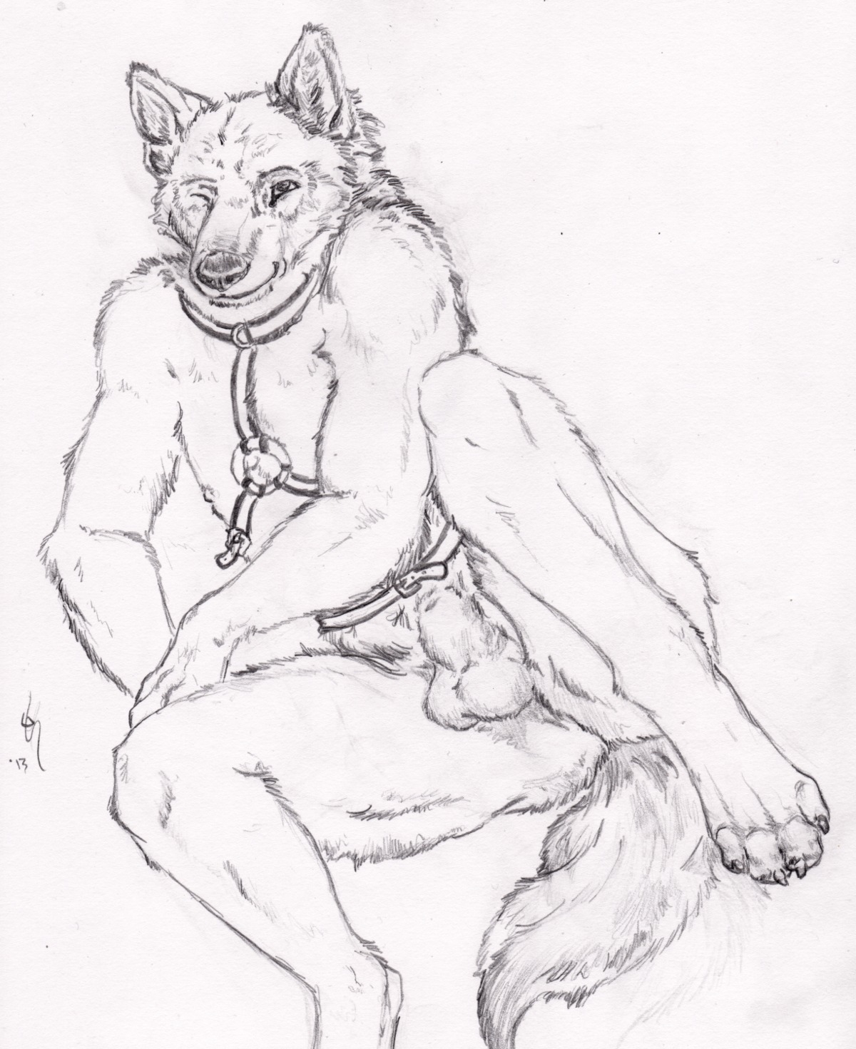 4_toes animal_genitalia anthro balls biped black_and_white black_nose butt canid canine claws e621 feet flaccid fully_sheathed genitals harness hi_res hindpaw looking_at_viewer lying male mammal monochrome nipples nude on_side one_eye_closed paws penis reclining semiotica sheath simple_background solo spread_legs spreading tail toes