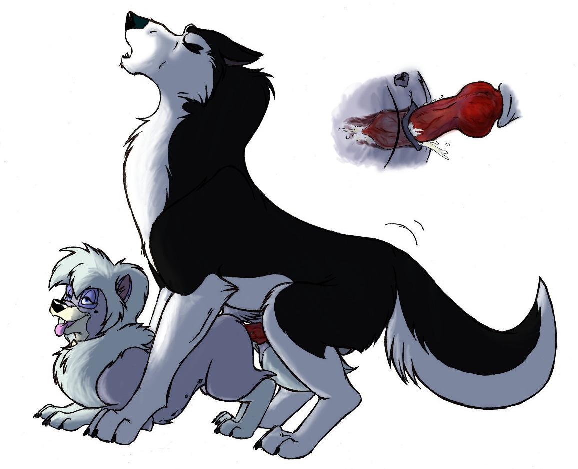 alaskan_malamute all_fours anatomically_correct anatomically_correct_genitalia anatomically_correct_penis anatomically_correct_vulva animal_genitalia animal_noises animal_penis animal_vulva anus balto_(series) black_body black_fur blue_eyes bodily_fluids breath canid canine canine_genitalia canine_penis canine_vulva canis cum cum_in_vagina cum_inside cutaway digital_drawing_(artwork) digital_media_(artwork) digitigrade dixie_(balto) doggystyle domestic_dog duo e621 erection eye_roll eyes_closed female female_penetrated feral feral_on_feral feral_penetrated feral_penetrating feral_penetrating_feral from_behind_position fur genital_fluids genitals howl internal intraspecies knot larger_male larger_on_top looking_pleasured lying male male/female male_penetrating male_penetrating_female mammal marjani mounting nordic_sled_dog nude on_front on_top open_mouth orgasm panting penetration penile penile_penetration penis penis_in_vagina pomeranian quadruped sex side_view simple_background size_difference smaller_female smaller_penetrated spitz steele_(balto) tail teats tight_fit tongue tongue_out universal_studios vaginal vaginal_canal vaginal_penetration vulva white_background white_body white_fur x-ray_view