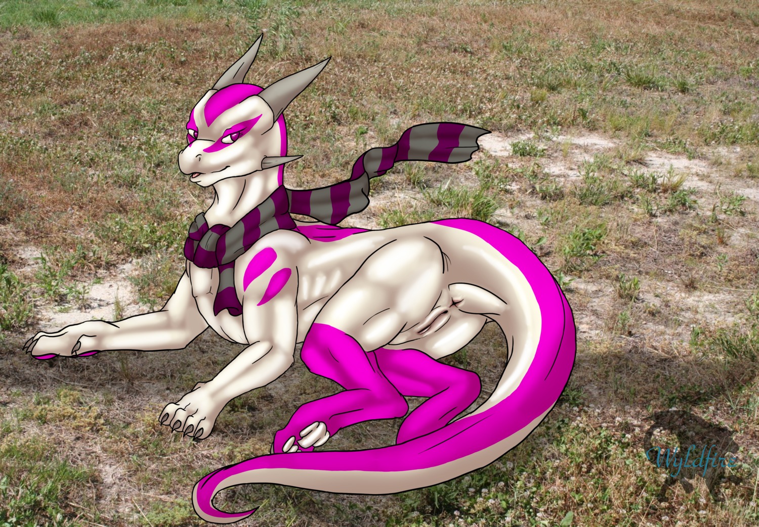 absurd_res akira_(byzil) anus butt dragon e621 english_text female feral genitals hi_res horn markings mythological_creature mythological_scalie mythology paws pink_body pink_eyes pink_markings presenting presenting_hindquarters scalie scarf solo tail text vulva wyldfire7
