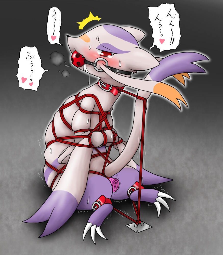 blush bound color dildo gag insertion male male_only mienshao pokemon rule34 solo tagme