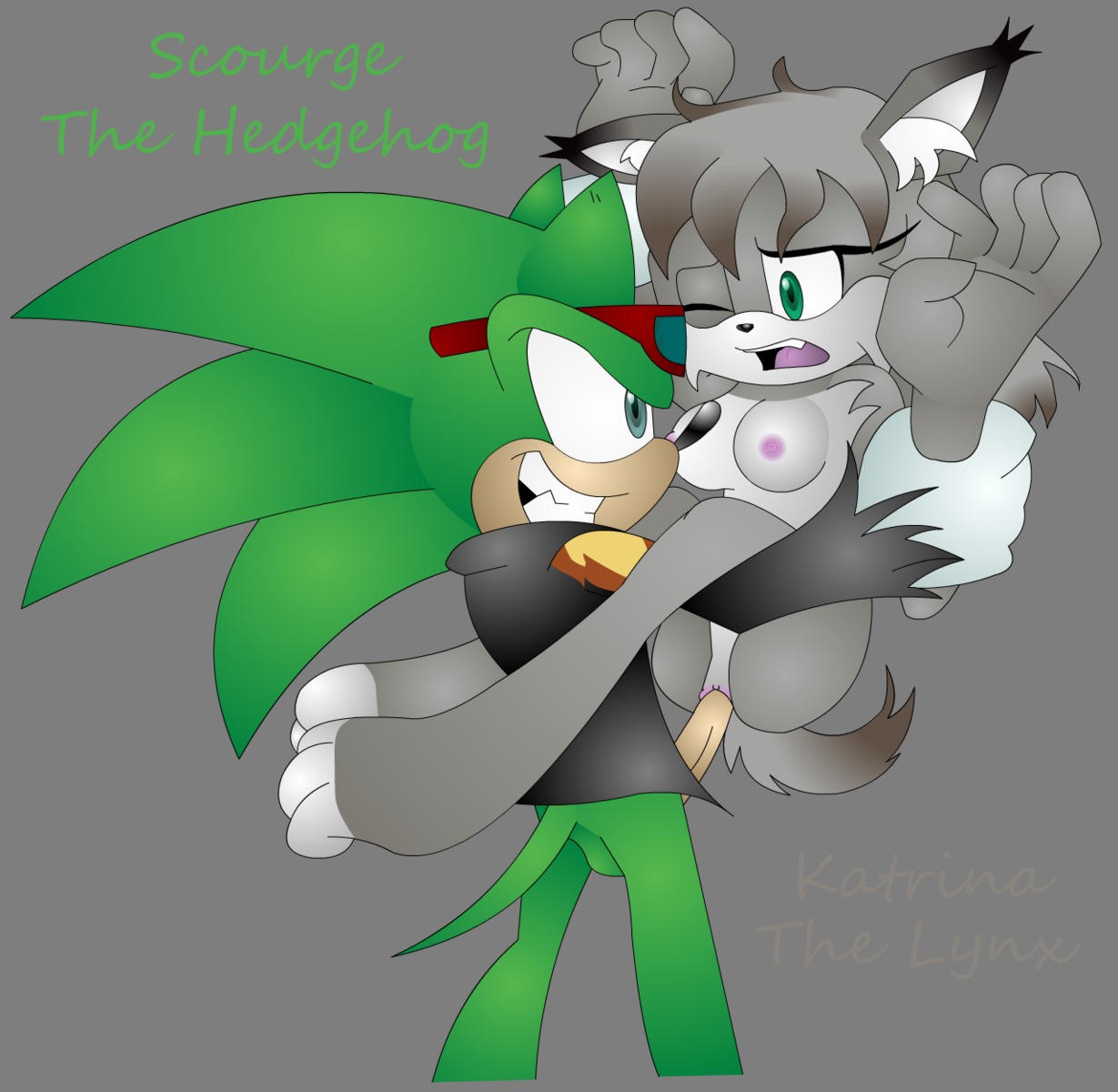 anthro balls breasts carrying clothes color feline female fur furry glasses hedgehog interspecies katrina_the_lynx krazykacophony lynx male nipples nude rule34 scourge_the_hedgehog sex sonic_(series) standing straight tagme testicles