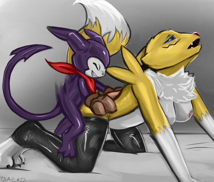2013 all_fours ambiguous_gender anthro anthro_on_anthro anthro_penetrated anthro_penetrating anthro_penetrating_anthro areola armwear bandai_namco black_sclera blue_eyes breasts canid canine clothing conditional_dnp countershading dacad digimon digimon_(species) digitigrade doggystyle duo e621 eyes_closed female female_penetrated footwear footwear_only from_behind_position fur gloves gloves_only handwear handwear_only hanging_breasts impmon interspecies kerchief larger_anthro larger_female larger_penetrated larger_sub leg_markings legwear male male/female male_penetrating male_penetrating_female mammal markings mostly_nude multicolored_body multicolored_fur nipples nude open_mouth penetration purple_body red_clothing red_nose renamon scarf sex shortstack shortstack_male size_difference smaller_ambiguous smaller_male socks socks_only stockings submissive thigh_highs thigh_markings tight_clothing toeless_footwear toeless_legwear toeless_socks toeless_stockings two_tone_body two_tone_fur white_body white_fur yellow_body yellow_fur