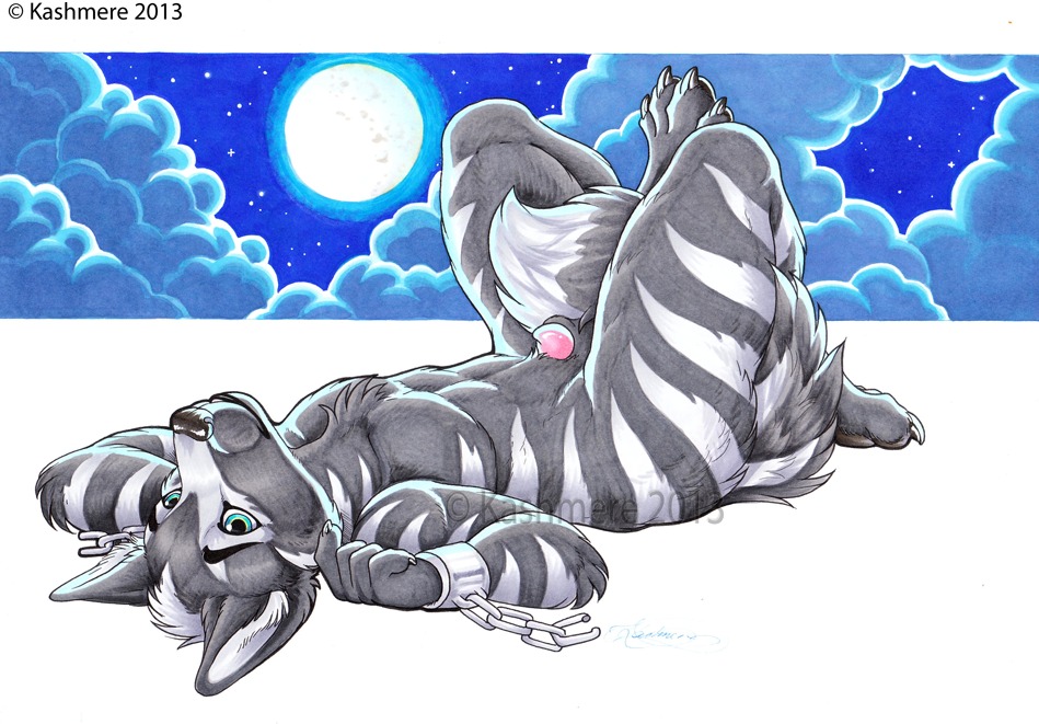 2013 animal_genitalia anthro biped blue_eyes canid canine canis chain claws e621 genitals kashmere looking_at_viewer lying male mammal moon nude penis penis_tip sheath solo tail wolf