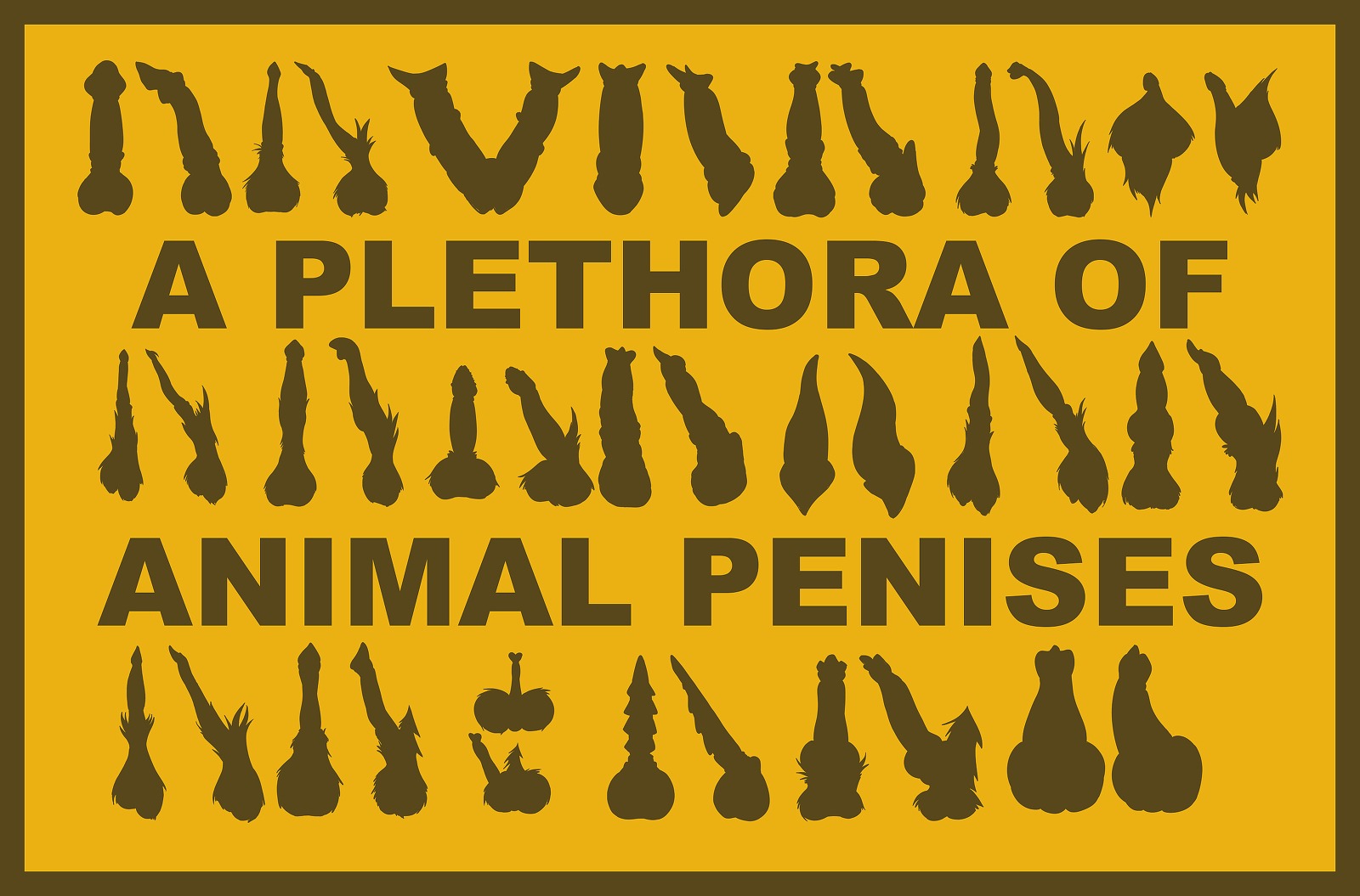 2_penises a_plethora_of_penises animal_genitalia animal_penis balls border canine_genitalia canine_penis disembodied_penis e621 equine_genitalia equine_penis erection feline_genitalia feline_penis genitals group hemipenes hi_res kaiza_teira male multi_genitalia multi_penis penis penis_everywhere penis_sheet silhouette tapering_penis unusual_anatomy unusual_genitalia unusual_penis yellow_border
