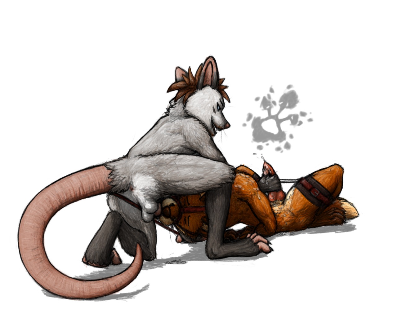 american_opossum anthro anus balls barefoot bdsm blue_eyes bodily_fluids bondage bound canid canine cuff_(restraint) cum cum_on_arm cum_on_chest cum_on_hand cum_on_leg cum_on_penis cum_on_shoulder dominant dominant_male duo e621 erection feet fellatio forced forced_oral forced_orgasm fox foxedrot fully_bound genital_fluids genitals handjob irrumatio knot lying male male/male male_penetrated male_penetrating male_penetrating_male mammal marsupial muzzle_(object) nude on_back oral oral_penetration oral_rape orgasm penetration penile penis penis_in_mouth rape restraints sex shadow simple_background spread_legs spreader_bar spreading submissive submissive_male tail tail_anus thigh_cuffs throat_swabbing traditional_media_(artwork) virginia_opossum white_background