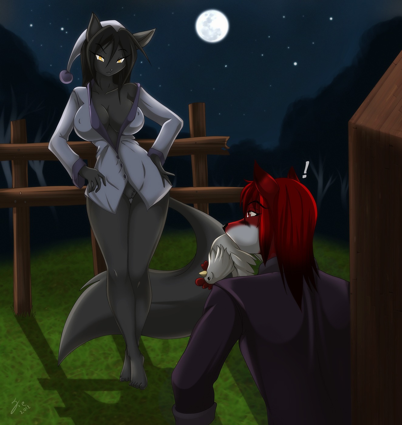 angry anthro avian barefoot bird black_body black_fur bottomless breasts canid canine canis chicken cleavage clothed clothing detailed_background e621 elijah_rayne exclamation_point eye_contact feet female fence forest fox fur galliform genitals group hat headgear headwear hi_res looking_at_another male mammal matypup moon nature night nightcap outside pajamas phasianid plant sky star starry_sky tail thief tree vulva wolf wood yellow_eyes