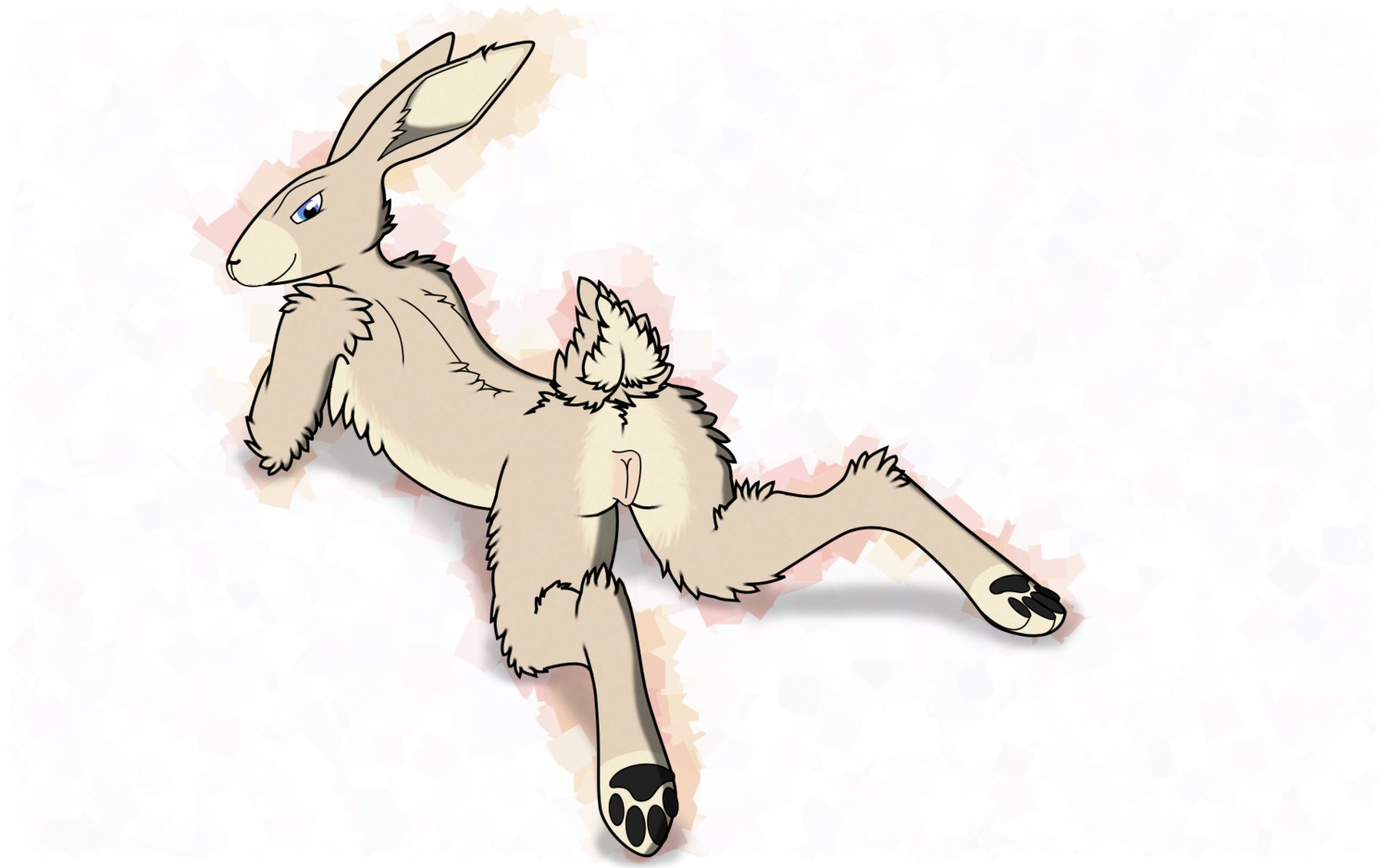 16:10 4_toes anthro blue_eyes brown_body brown_fur butt digitigrade e621 eisenknurren feet female fur genitals hi_res hindpaw lagomorph leporid looking_at_viewer looking_back lying mammal nude on_front pawpads paws presenting presenting_hindquarters rabbit semi-anthro simple_background solo toes vulva wallpaper white_background widescreen