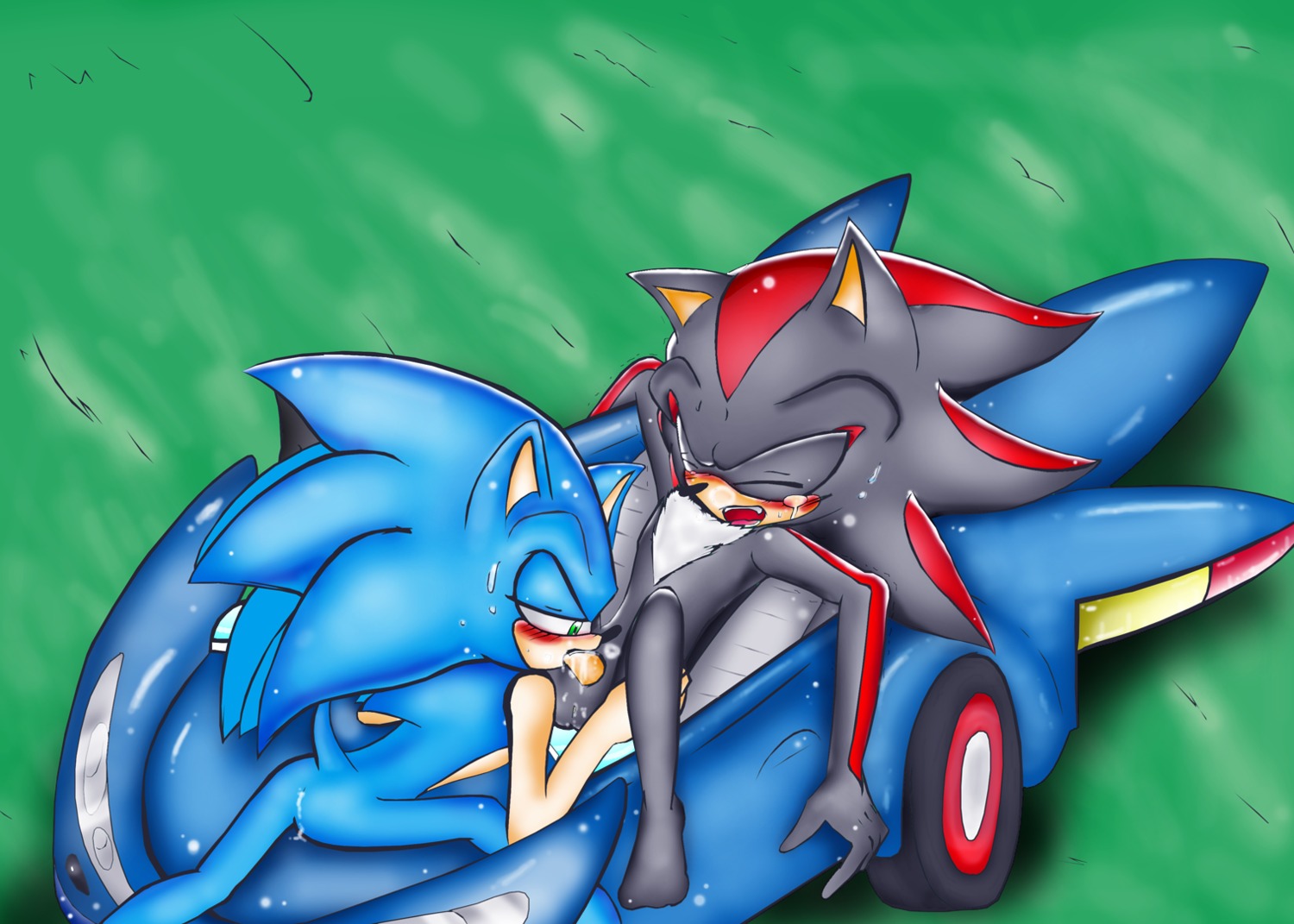 anthro beige_skin black_fur blue_fur car color fur hedgehog male male_only multiple_males rule34 sega shadow_the_hedgehog sonic_(series) sonic_the_hedgehog sonic_the_hedgehog_(series) speed_star tagme vehicle yaoi