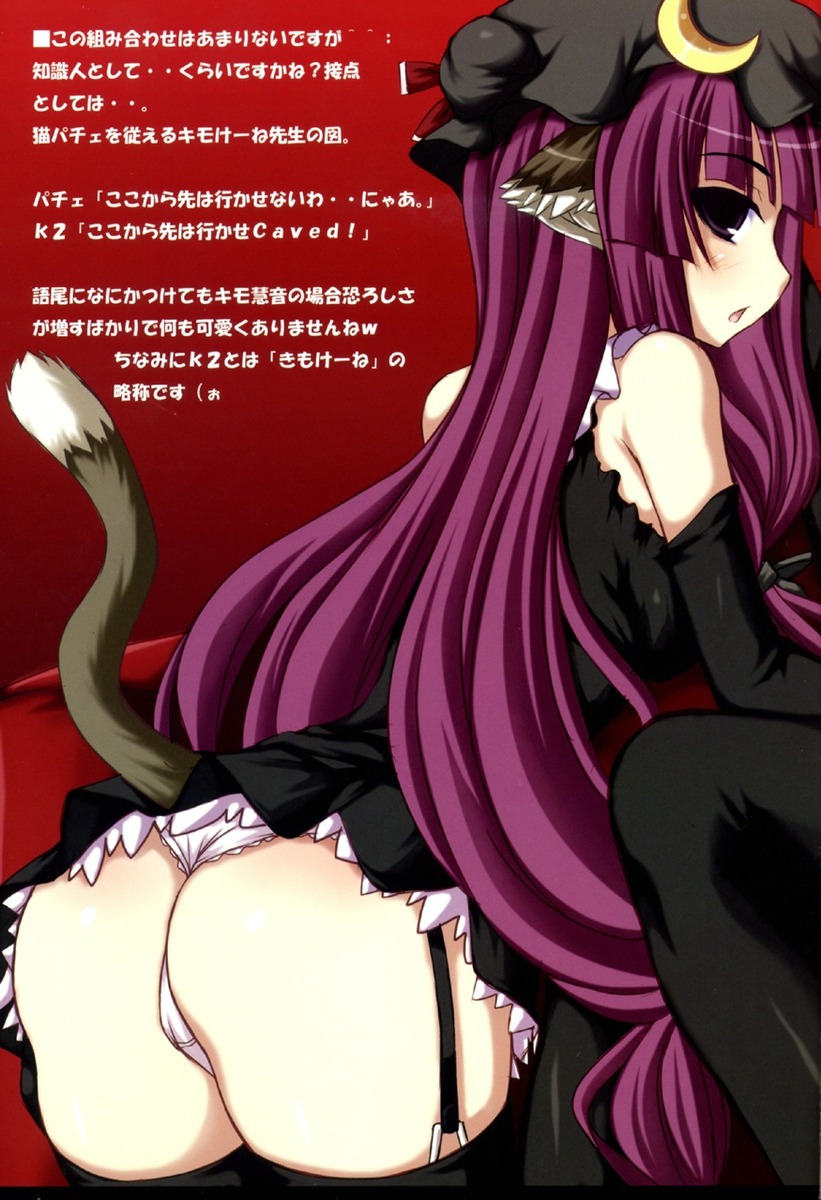 animal_ears ass cat_ears female garter_belt highres jema panties patchouli_knowledge rule34 solo tail touhou translation_request underwear wedgie white_panties