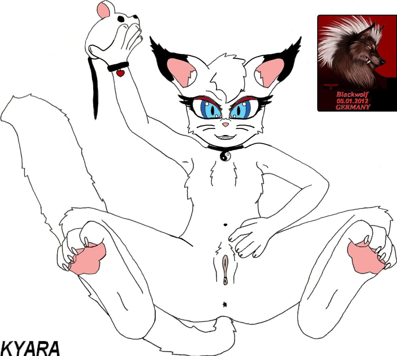 anthro anus blackwolf domestic_cat e621 felid feline felis female fur genitals hi_res looking_at_viewer mammal presenting solo spread_legs spreading tail vulva