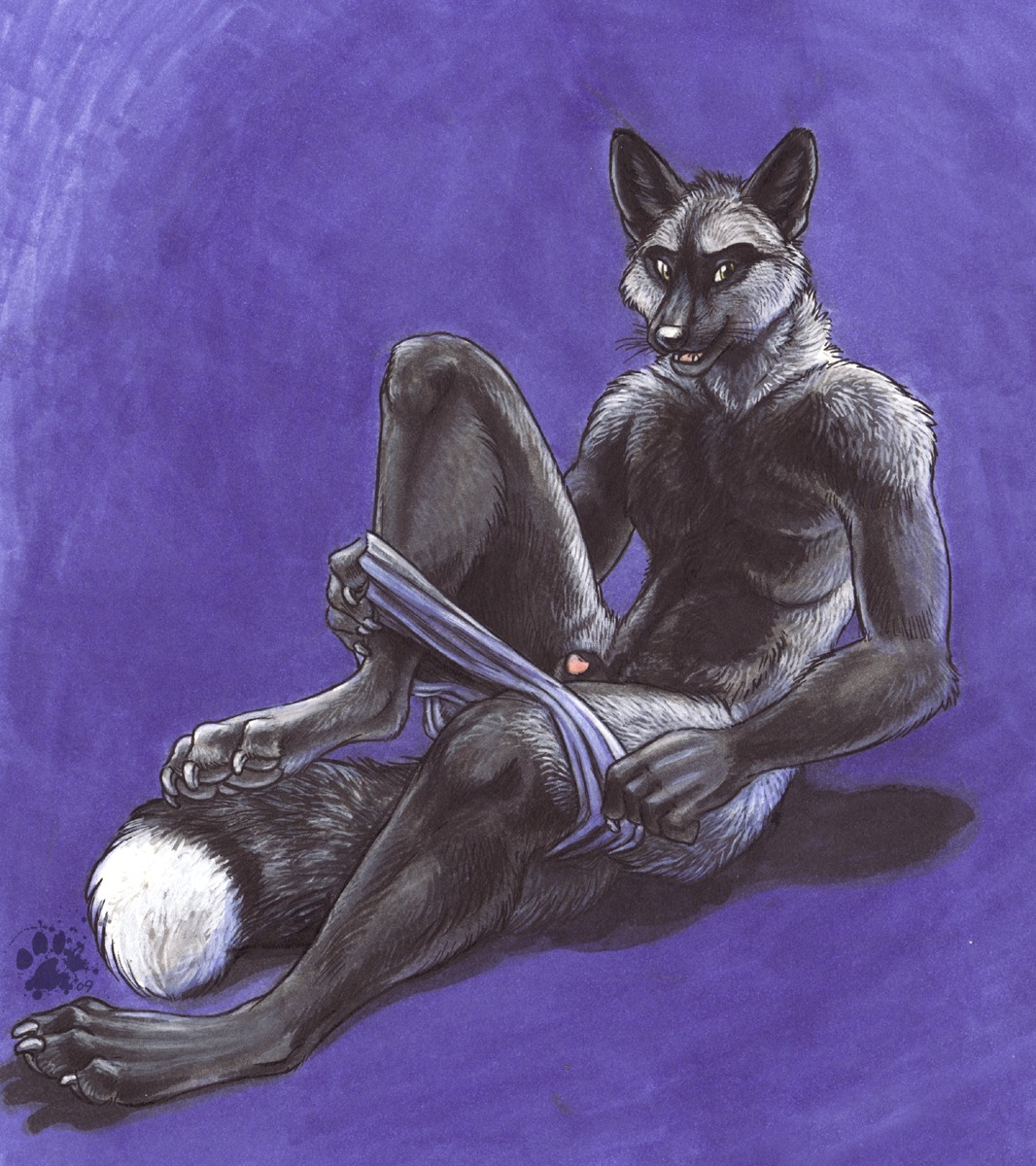 2009 animal_genitalia animal_penis anthro biped black_body black_fur blotch canid canine canine_genitalia canine_penis claws clothing dipstick_tail e621 feet fox fur genitals hi_res hindpaw looking_at_viewer male mammal markings pawpads paws penis penis_tip purple_background red_fox scratches_volume_3 sheath silver_fox simple_background sitting solo tail tail_markings traditional_media_(artwork) true_fox undressing whiskers white_body white_fur