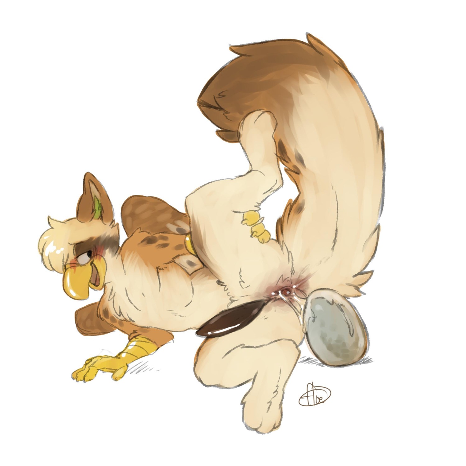 1:1 animal_genitalia anthro avian beak blush e621 egg erection feathered_wings feathers floebean genital_slit genitals gryphon hi_res male mythological_avian mythological_creature mythology nude oviposition penis raised_leg solo spread_legs spreading tail vinny_k_hawk wings