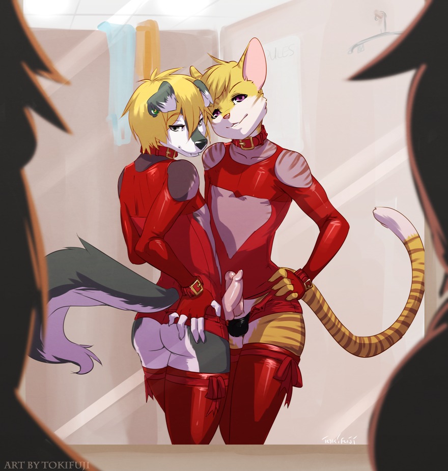 5_fingers anthro anthro_on_anthro buckle canid canine canis clothed clothing collar countershading crossdressing domestic_cat domestic_dog duo e621 erection felid feline felis femboy fingers frottage genitals happy male male/male mammal mirror penile penis penis_poking_out penises_touching sex skimpy stripper tail tokifuji