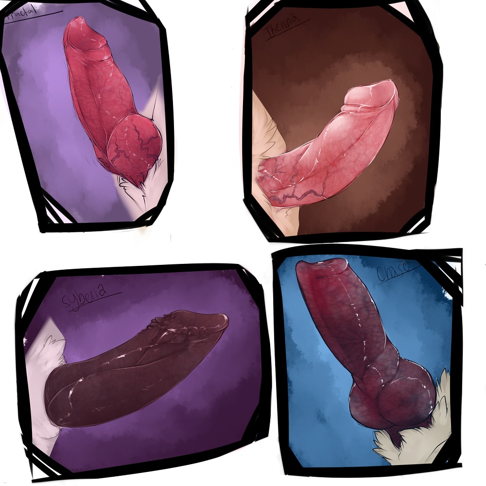 1:1 animal_genitalia animal_penis black_penis canid canine canine_genitalia canine_penis canis disembodied_penis domestic_dog e621 erection fur genitals humanoid_genitalia humanoid_penis hybrid knot male mammal multiple_images penile_spines penis solo vein xenoforge