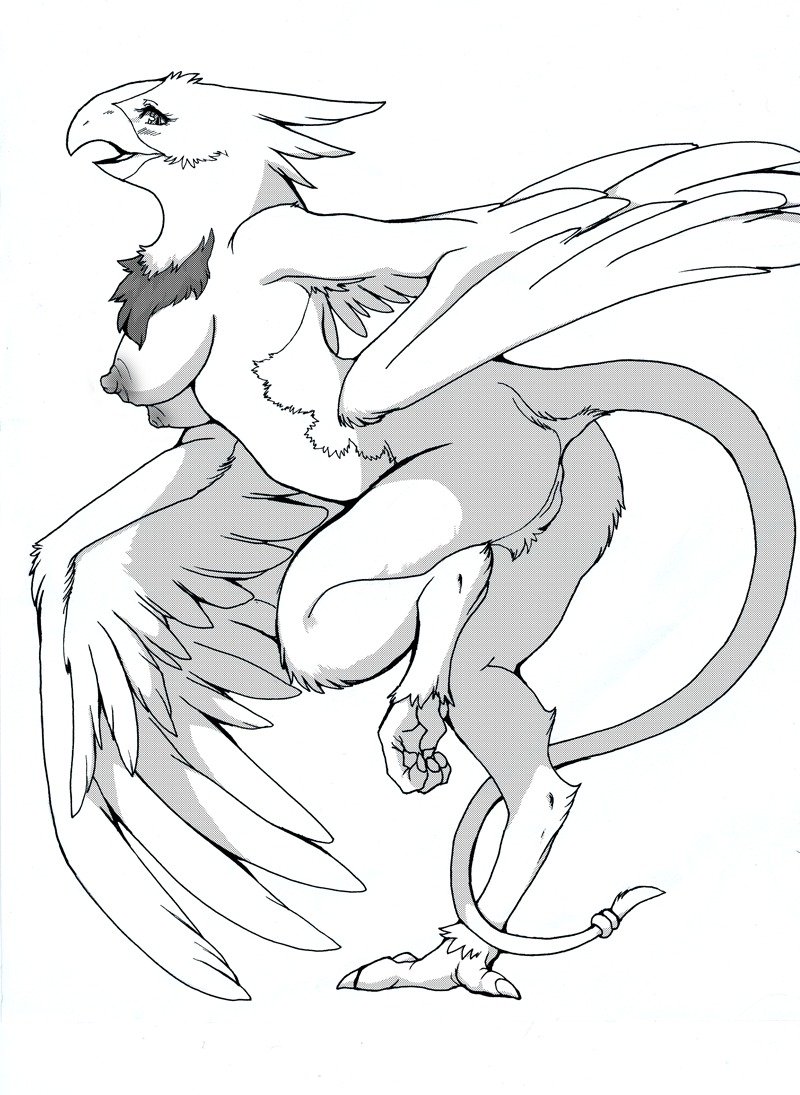 anthro avian beak bird breasts butt e621 feathered_wings feathers female genitals greyscale katherine_turner king_of_thorn looking_at_viewer monochrome nipples non-mammal_breasts non-mammal_nipples nude realistic_wings shebeast simple_background solo tail vulva white_background wings