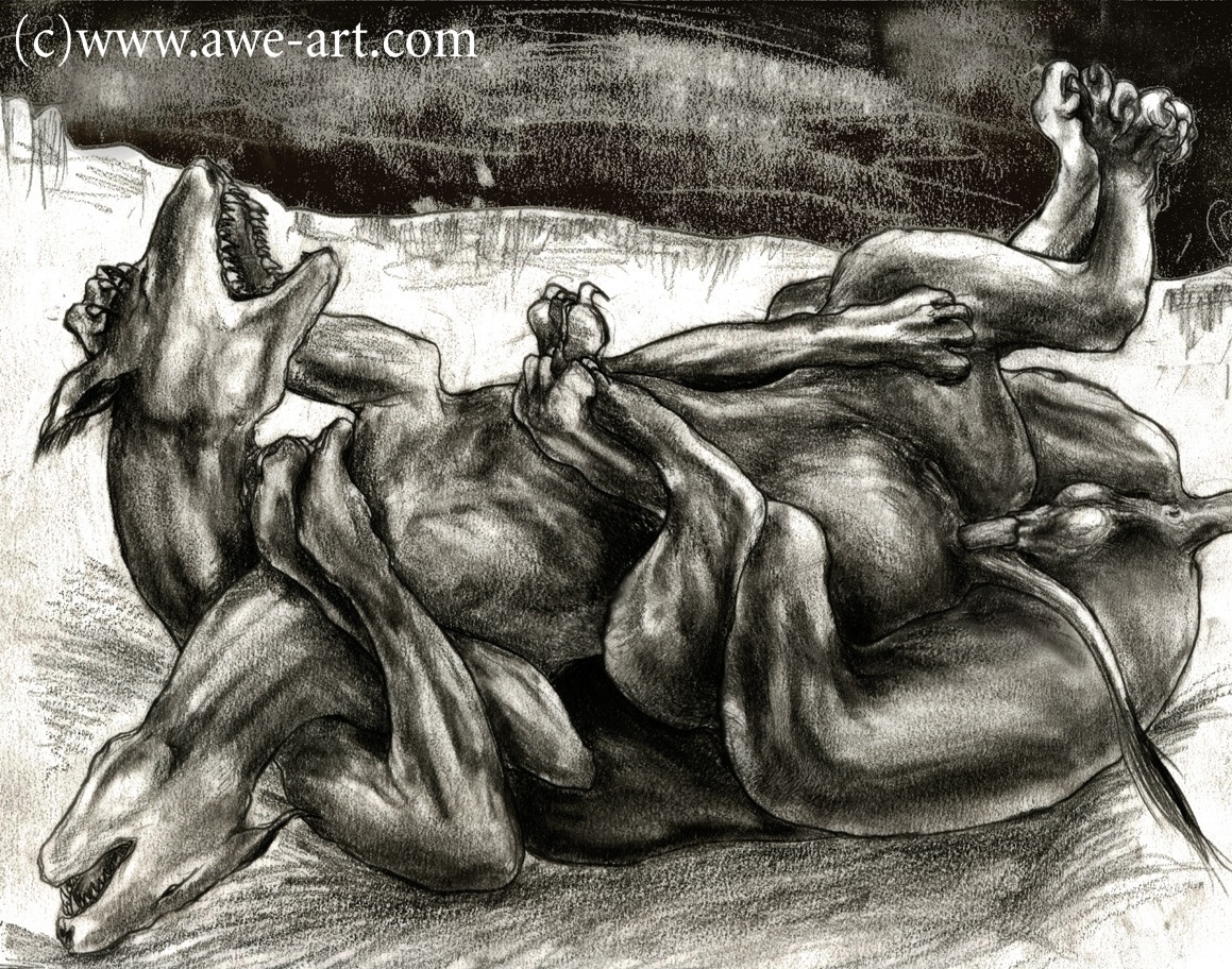 anal anus awe canid canine cu_dish duo e621 erection female feral genitals graphite_(artwork) greyscale male male/female mammal monochrome nude penis quadruped tail tail_anus traditional_media_(artwork) vulva