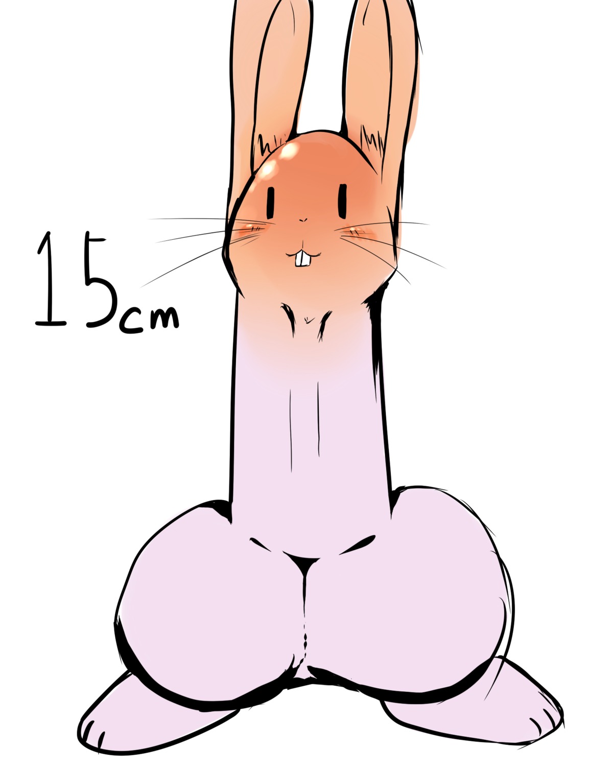 4:5 armless bald balls blush buckteeth dagasi digital_drawing_(artwork) digital_media_(artwork) e621 ears_up erection front_view full-length_portrait genital_shot genitals hi_res humanoid_genitalia humanoid_penis humor hybrid hybrid_genitalia hybrid_penis lagomorph leporid looking_at_viewer male mammal measurements metric_system number penis penis_creature penis_shot plantigrade portrait rabbit simple_background solo standing teeth unit what whiskers white_background