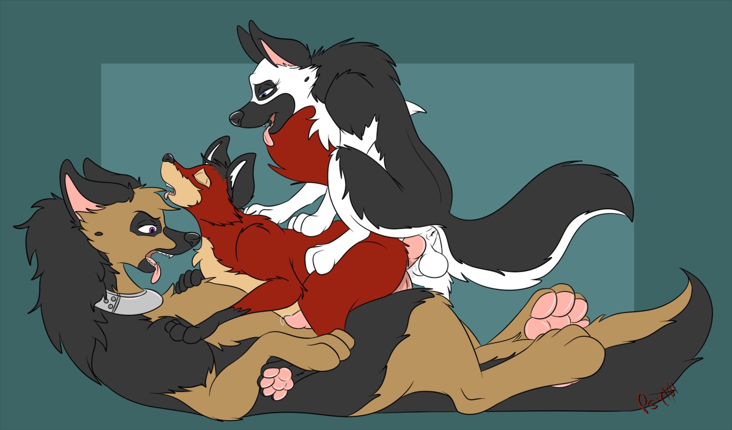 2013 4_toes anal anal_penetration anatomically_correct animal_genitalia animal_penis anus balls black_body black_fur blue_background bodily_fluids brown_body brown_fur canid canine canine_genitalia canine_penis canis claws collar conditional_dnp digital_media_(artwork) digitigrade domestic_dog dominant double_anal double_penetration e621 erection eyes_closed feet feral feral_on_feral fox fur genital_fluids genitals german_shepherd group group_sex herding_dog hi_res hindpaw knot larger_dom larger_male lying male male/male male_penetrated male_penetrating male_penetrating_male mammal metal_collar multicolored_body multicolored_fur nude on_back open_mouth pastoral_dog pawpads paws penetration penis precum psy101 red_body red_fur rip_(psy101) sex simple_background size_difference smaller_male tail threesome toes tongue trio two_tone_body two_tone_fur white_body white_fur