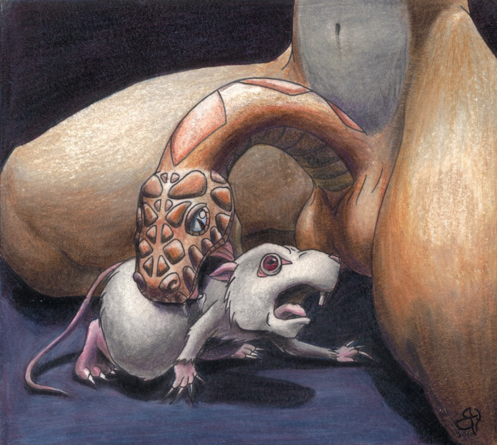 albino balls blue_eyes brown_body brown_fur claws duo e621 feral fur genitals living_penis male mammal murid murine navel nightmare_fuel open_mouth panicking penile penis penis_creature penis_mouth penis_snake rat red_eyes reptile rodent scales scalie scared sentient_penis snake tail teeth thetigerofkyarra tongue traditional_media_(artwork) unusual_anatomy unusual_genitalia unusual_penis what what_has_science_done where_is_your_god_now white_body white_fur why