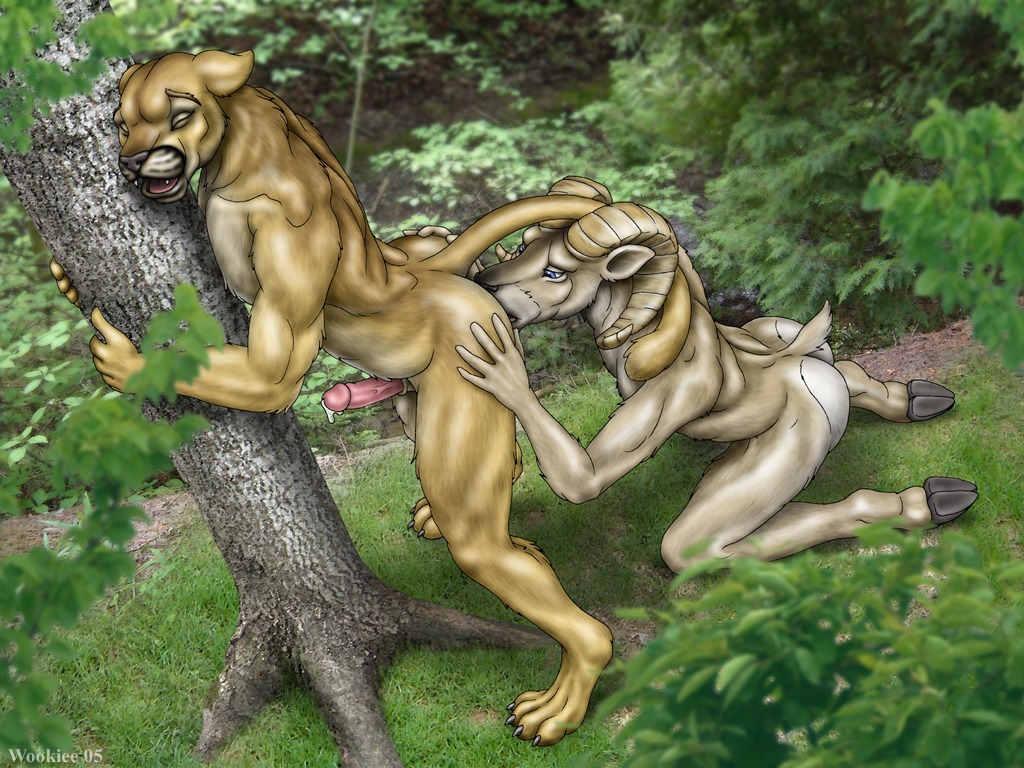 2005 4:3 anal anthro anthro_on_anthro balls bent_over bodily_fluids bovid butt caprine cougar domestic_sheep duo e621 erection felid feline genital_fluids genitals hand_on_another's_butt hand_on_butt hooves horn humanoid_genitalia humanoid_penis interspecies kneeling kneeling_oral_position looking_pleasured male male/male male_penetrated male_penetrating male_penetrating_male mammal oral penetration penis precum predator/prey rimming sex sheep spread_butt spreading tail wooky