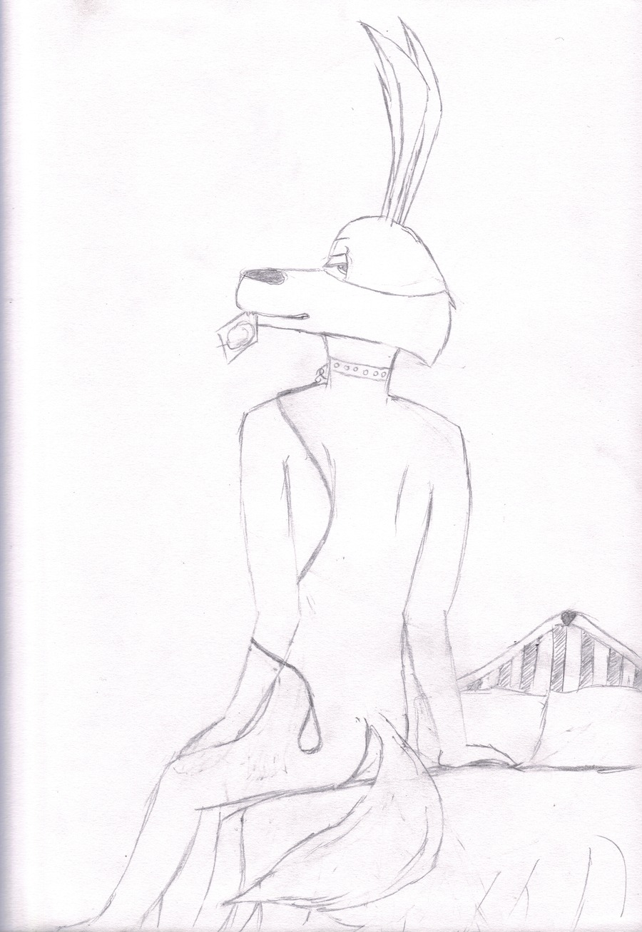 loonatics_unleashed male male_only rule34 tagme tech_e._coyote