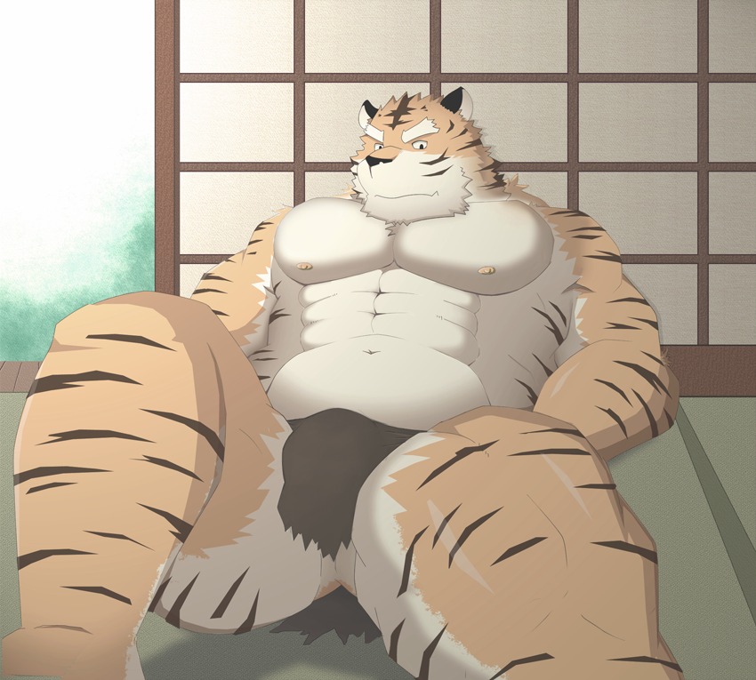 2013 abs anthro anus biceps big_muscles biped clothed clothing e621 felid fur hair looking_at_viewer male mammal markings muscular muscular_anthro muscular_male nipples pantherine pecs pose singa solo stripes tiger topless