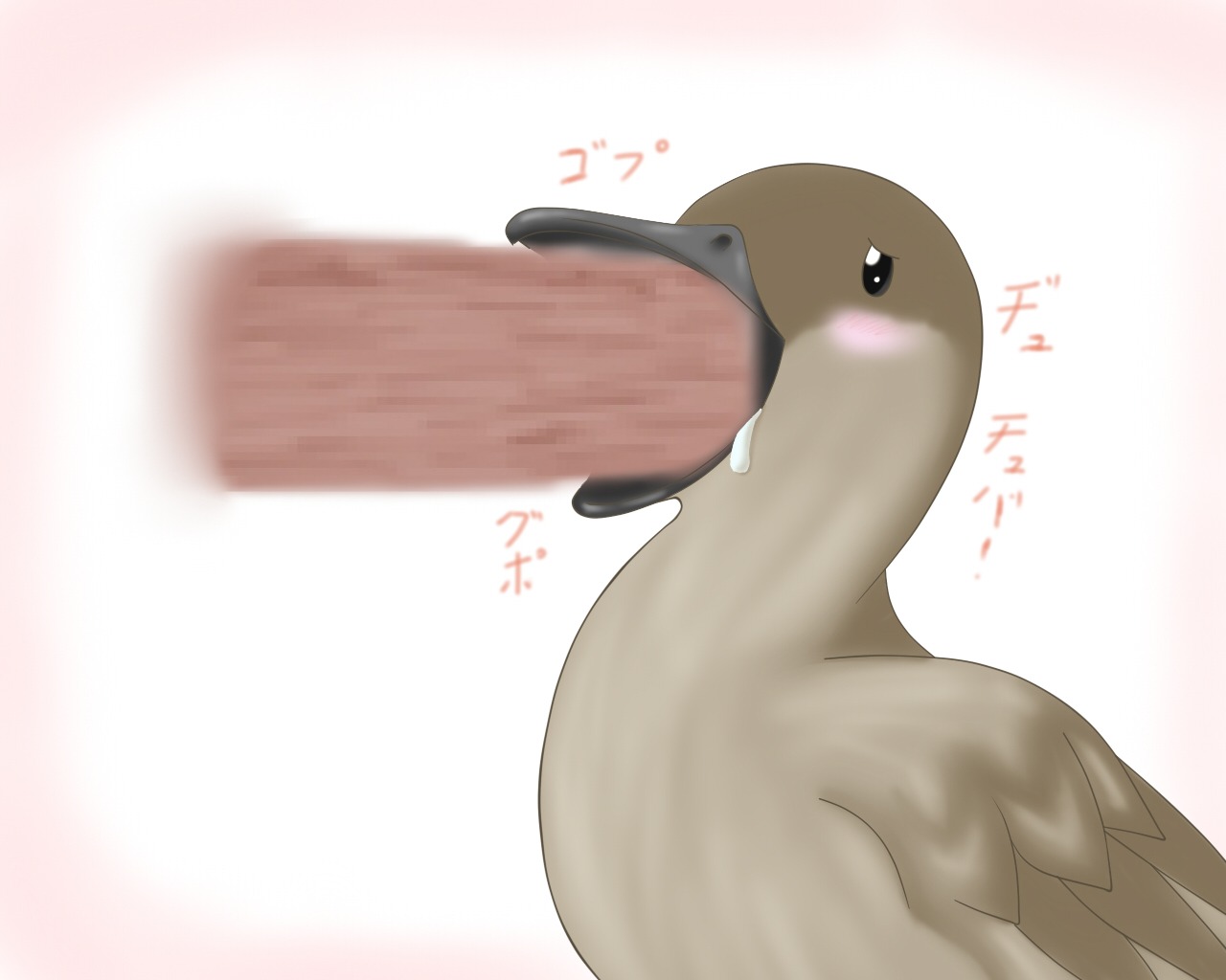 ambiguous_gender duck erect_penis male male/ambiguous oral penis rule34 tagme what zoophilia