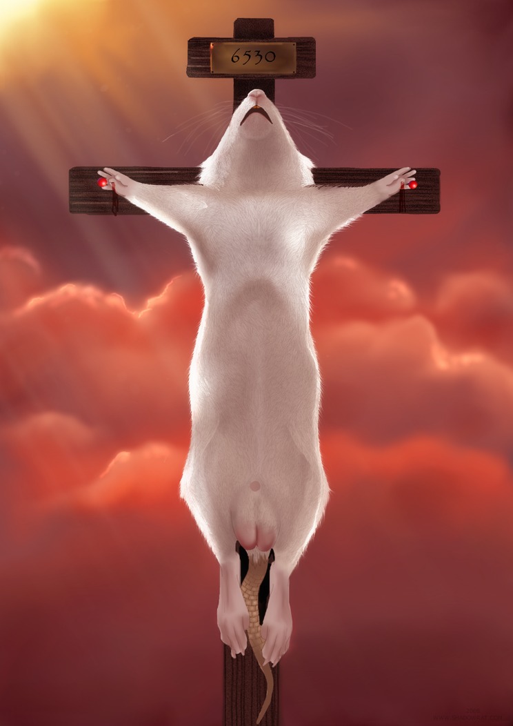 anatomically_correct animal_genitalia balls blood bodily_fluids cross crucifixion digital_media_(artwork) e621 feral full-length_portrait fully_sheathed genitals male mammal murid murine nailed portrait rat rodent sheath solo tail torture ziggy_(artist)