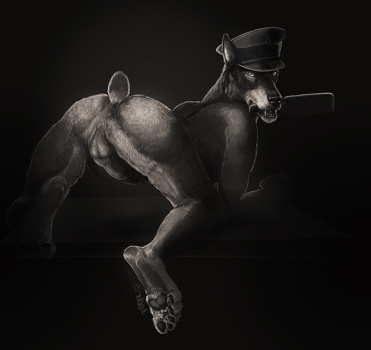 2012 animal_genitalia animal_penis anthro anus ass_up backsack balls butt canid canine canine_genitalia canine_penis canis clothing cropped_ears dobermann domestic_dog e621 erection fur genitals greyscale hat headgear headwear inviting inviting_to_sex knot looking_at_viewer male mammal monochrome nude paddle pawpads paws penis photorealism pinscher presenting presenting_anus presenting_hindquarters raikhan realistic solo teasing