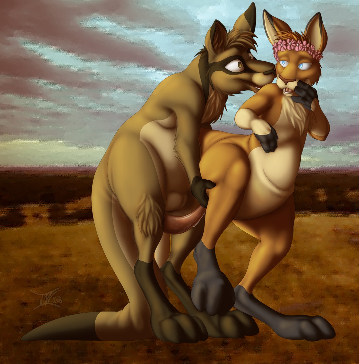 2012 anatomically_correct animal_genitalia animal_penis balls balls_above_penis brown_theme digitigrade duo e621 erection female feral feral_on_feral flower from_behind_position genitals hi_res jakoroo kangaroo macropod male male/female mammal marsupial marsupial_penis penis plant pouch_(anatomy) sex sydney_(neouka) tail tapering_penis vaginal wairu