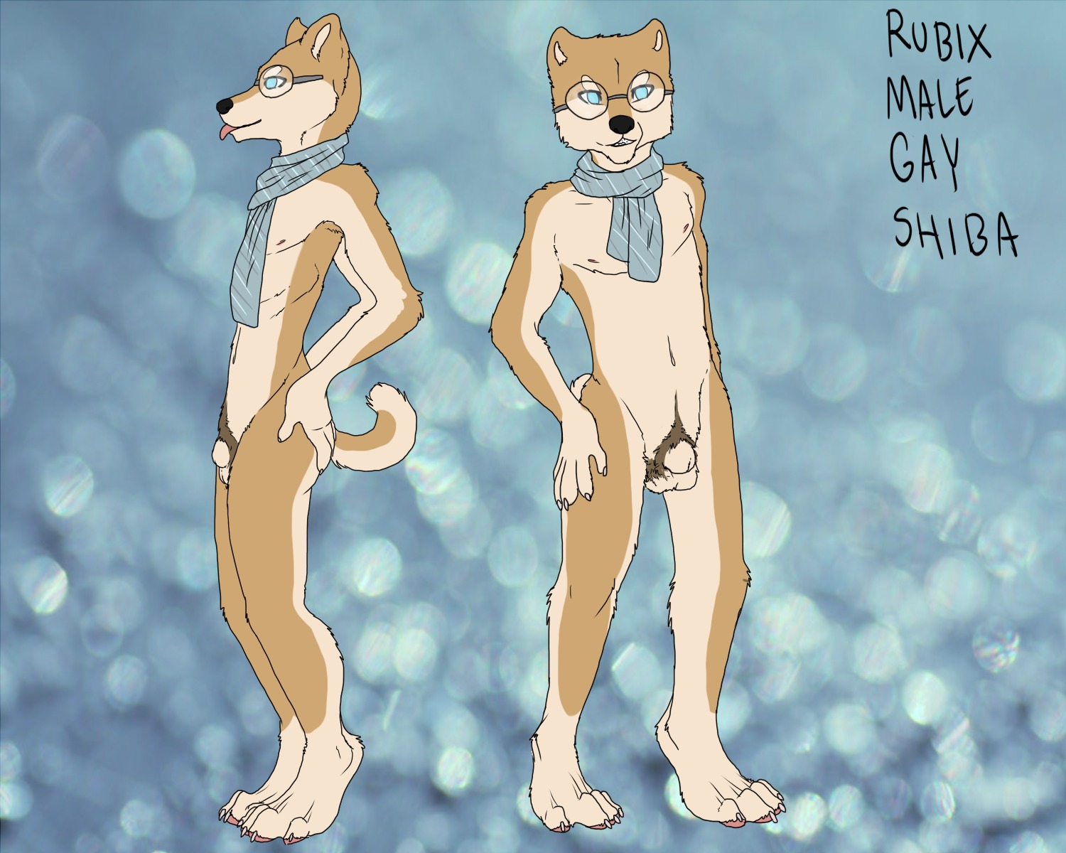 5:4 animal_genitalia anthro balls basillicus canid canine canis domestic_dog e621 eyewear fully_sheathed genitals glasses hi_res male mammal model_sheet nude penis pubes scarf sheath shiba_inu side_view solo spitz standing tail tongue tongue_out