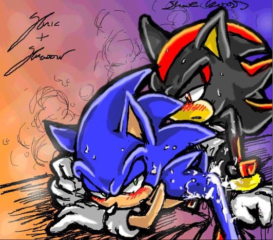 furry hedgehog male multiple_males rule34 sega shadow_the_hedgehog sonic_(series) sonic_the_hedgehog sonic_the_hedgehog_(series) tagme yaoi