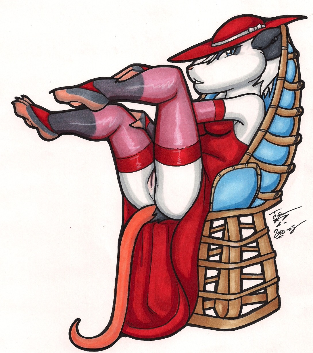 2010 3_toes american_opossum anthro armwear bailey_(os) biped bridal_gauntlets butt clothed clothing countershade_feet countershading dress e621 ear_piercing feet female footwear genitals green_eyes hair hat headgear headwear hi_res legs_up legwear mammal marsupial no_underwear os piercing presenting presenting_hindquarters sitting socks solo stirrup_socks stockings tail thigh_highs toes virginia_opossum vulva white_hair