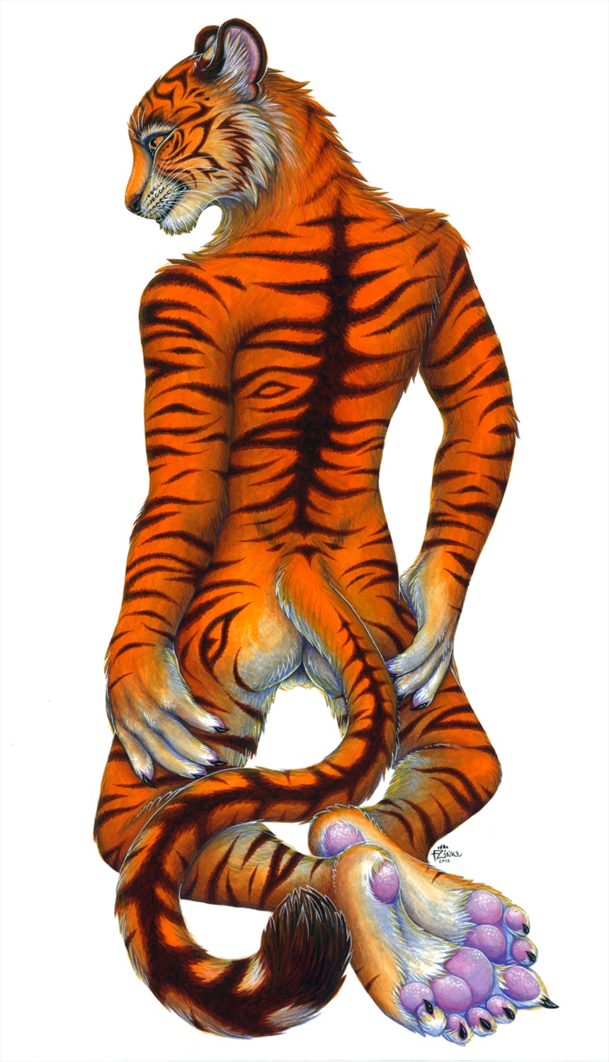 2013 5_toes anthro backsack balls biped butt claws e621 feet felid foot_focus fur genitals hi_res hindpaw kneeling male mammal nude orange_body orange_fur pantherine pawpads paws phantasmic plantigrade rear_view simple_background soles solo tiger toes whiskers white_background