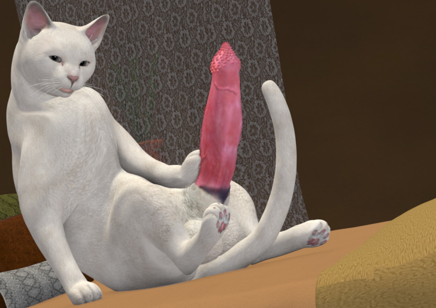 3d_(artwork) animal_genitalia balls digital_media_(artwork) digitigrade domestic_cat e621 erection felid feline felis feral genitals hyper looking_at_viewer male mammal paws penile_spines penis quadruped realistic_feral sheath small_but_hung solo tail tapiko what_has_science_done