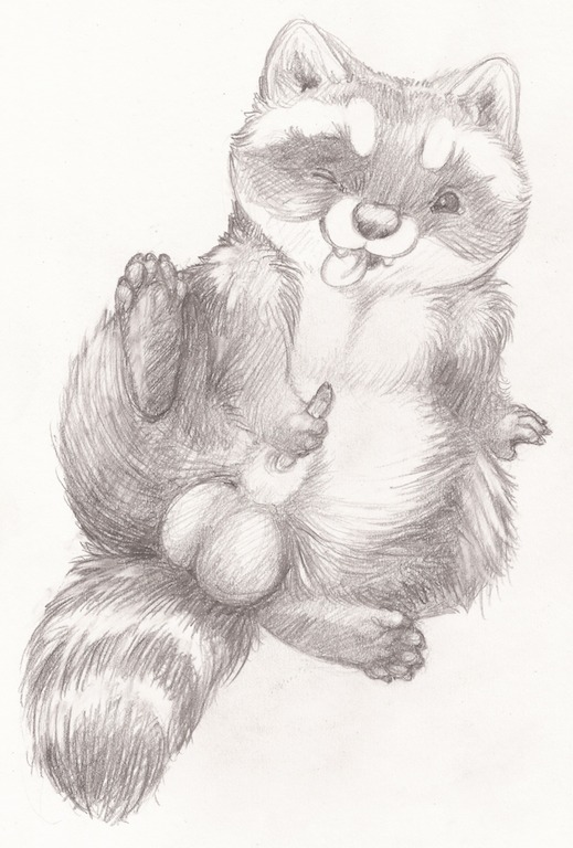 2013 animal_genitalia balls coonpoof e621 erection feral genitals lying male mammal masturbation on_back one_eye_closed penile penile_masturbation penis procyonid raccoon sketch solo spread_legs spreading tongue tongue_out