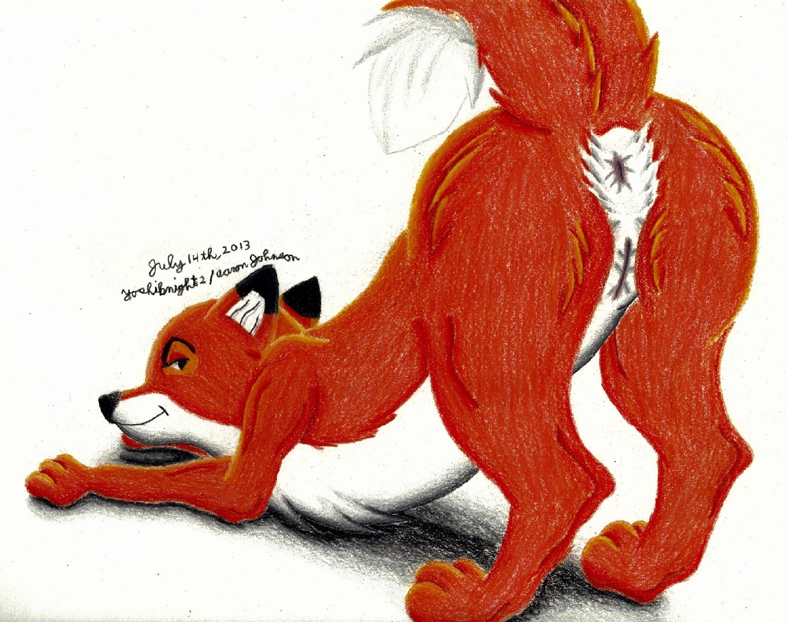 2013 anus ass_up black_body black_fur butt canid canine disney e621 female feral fox fur genitals hi_res looking_at_viewer mammal red_body red_fox red_fur simple_background solo the_fox_and_the_hound true_fox vixey_(tfath) vulva white_background white_body white_fur yoshiknight2
