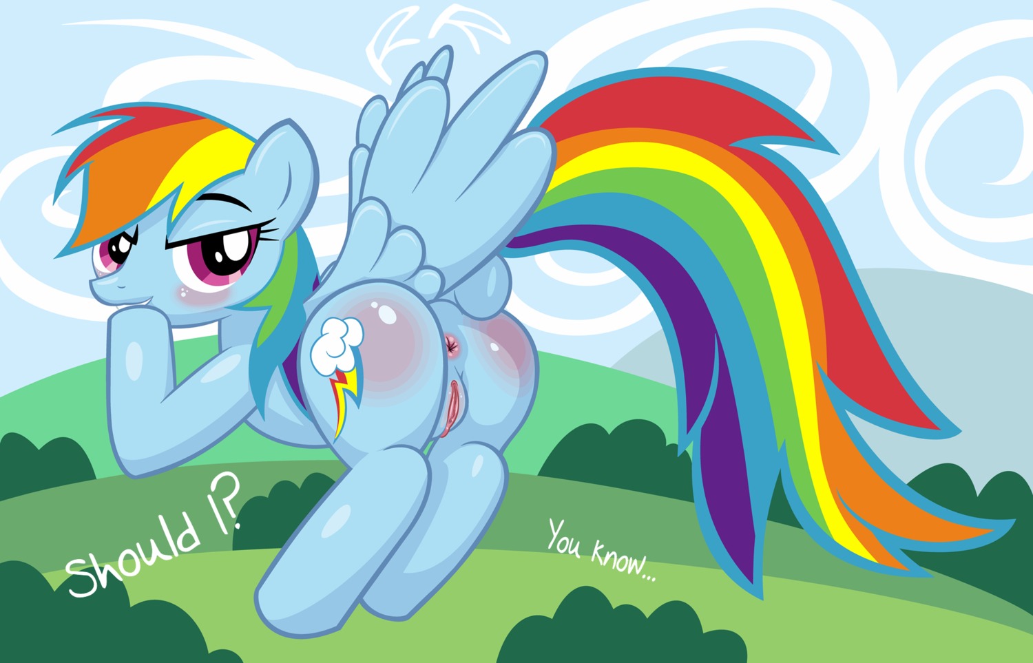 anus blue_body blue_feathers blue_fur blush body_blush butt butt_blush cloud cutie_mark e621 english_text equid equine feathered_wings feathers female feral friendship_is_magic fur genitals hair hasbro hi_res long_hair looking_at_viewer looking_back mammal multicolored_hair multicolored_tail my_little_pony mythological_creature mythological_equine mythology outside pegasus presenting purple_eyes rainbow_dash_(mlp) rainbow_hair rainbow_tail randomrandom sky smile solo tail text vulva wings