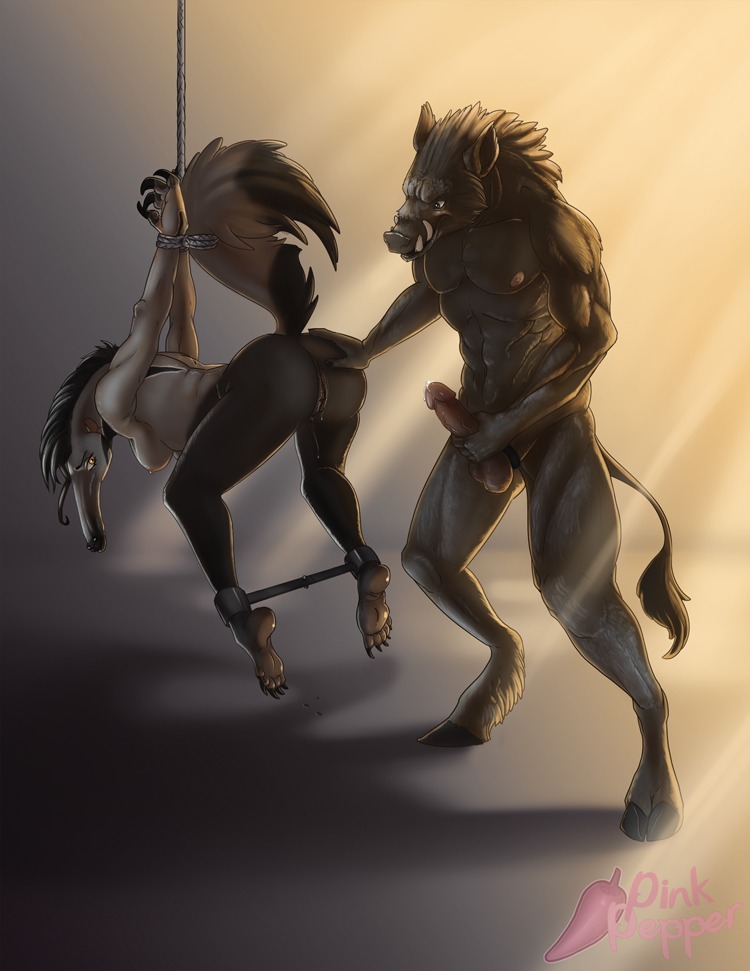 2_toes 5_toes abs accessory anteater anthro ass_up balls bdsm biceps bondage bound claws cloven_hooves cock_ring dominant duo e621 erection feet female fur genitals giant_anteater grey_body grey_fur hand_on_butt hooves humanoid_feet humanoid_genitalia humanoid_penis jewelry long_snout male mammal masturbation mistresssparkles multicolored_body multicolored_fur muscular nipples nude pecs penile penile_masturbation penis penis_accessory penis_jewelry pilosan pink_pepper plantigrade raised_tail restraints rope snout spread_legs spreader_bar spreading standing submissive suid suine sus_(pig) suspension tail toe_claws toes tusks two_tone_body two_tone_fur unguligrade vein vulva wild_boar xenarthran
