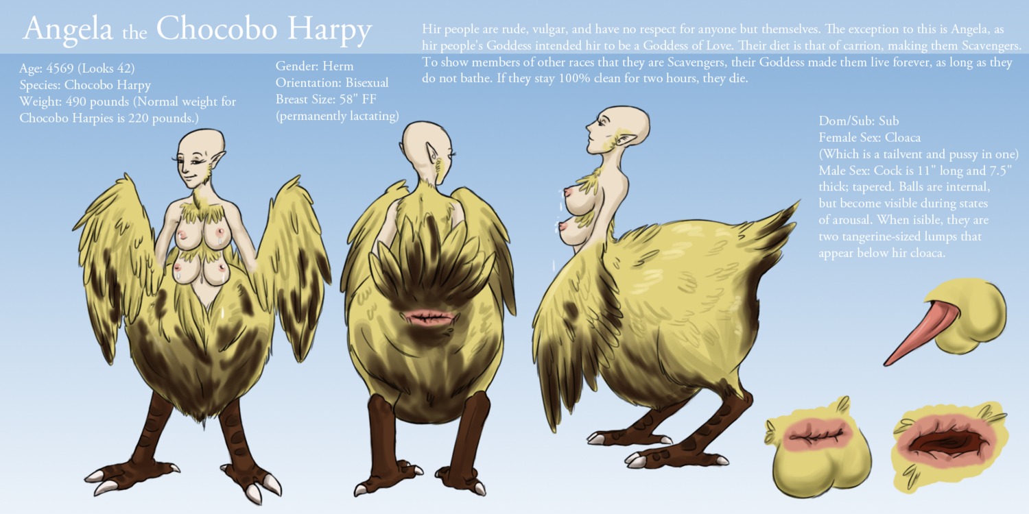 2:1 4_breasts animal_genitalia avian avian_taur balls biped bipedal_taur bodily_fluids breasts chocobo chocobo_taur cloaca e621 erection european_mythology faeseiren feathered_wings feathers final_fantasy genitals greek_mythology harpy herm hi_res horizontal_cloaca humanoid_taur intersex lactating model_sheet multi_breast multiple_angles mythological_avian mythological_creature mythology penis solo square_enix taur turnaround what wings