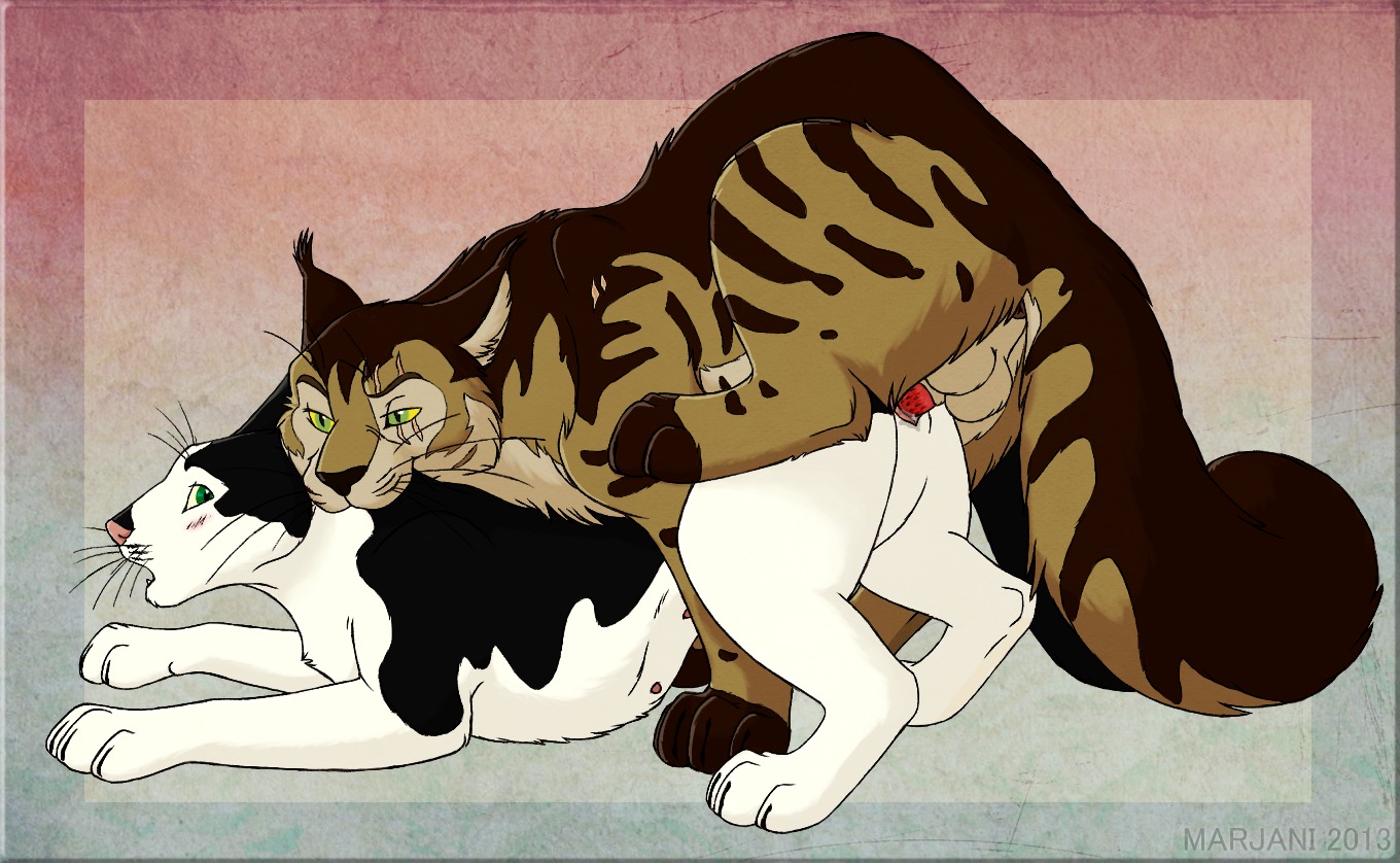 animal_genitalia balls bite biting_another biting_partner black_body black_fur brown_body brown_fur digitigrade domestic_cat duo e621 erection felid feline felis female female_penetrated feral feral_on_feral from_behind_position fur genitals green_eyes khaldun looking_at_another looking_at_partner looking_back looking_back_at_another looking_back_at_partner male male/female male_penetrating male_penetrating_female mammal marjani mounting multicolored_body multicolored_fur nude penetration penile penile_penetration penis penis_in_vagina rasmi scruff_bite sex sheath side_view step_position tail tan_body tan_fur vaginal vaginal_penetration whiskers white_body white_fur yellow_sclera