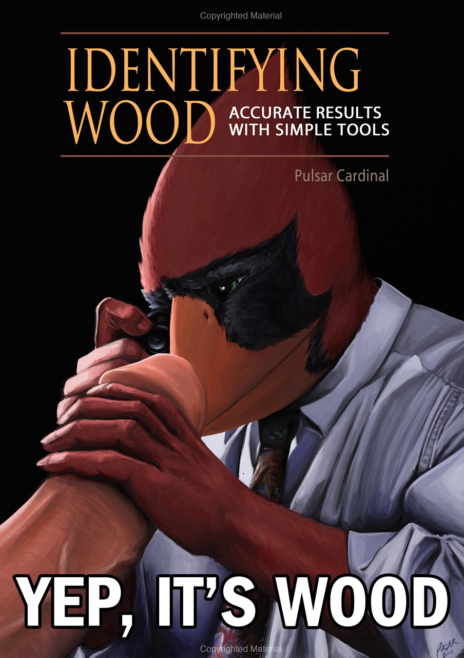 2011 avian beak bird magazine male male_only penis pulsar pulsar_(character) rule34 wood