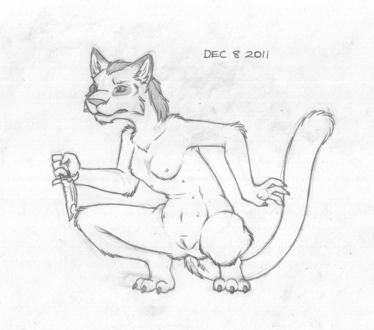 anthro female khajiit rule34 skyrim tagme the_elder_scrolls