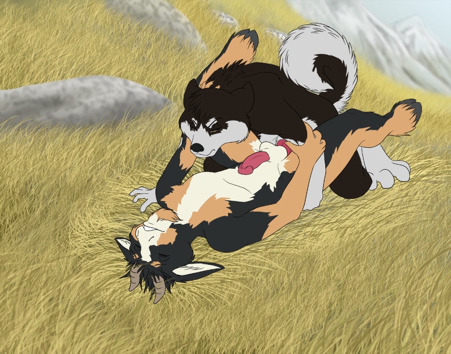 alaskan_malamute anal anal_penetration anthro balls bovid canid canine canis caprine domestic_dog duo e621 erection eyes_closed from_front_position genitals goat grass hooves horn hoshi_kitsunuki humanoid_genitalia humanoid_penis knot lying male male/male male_penetrated male_penetrating male_penetrating_male mammal missionary_position mountain nordic_sled_dog nude on_back outside penetration penis plant rock sex spitz tail