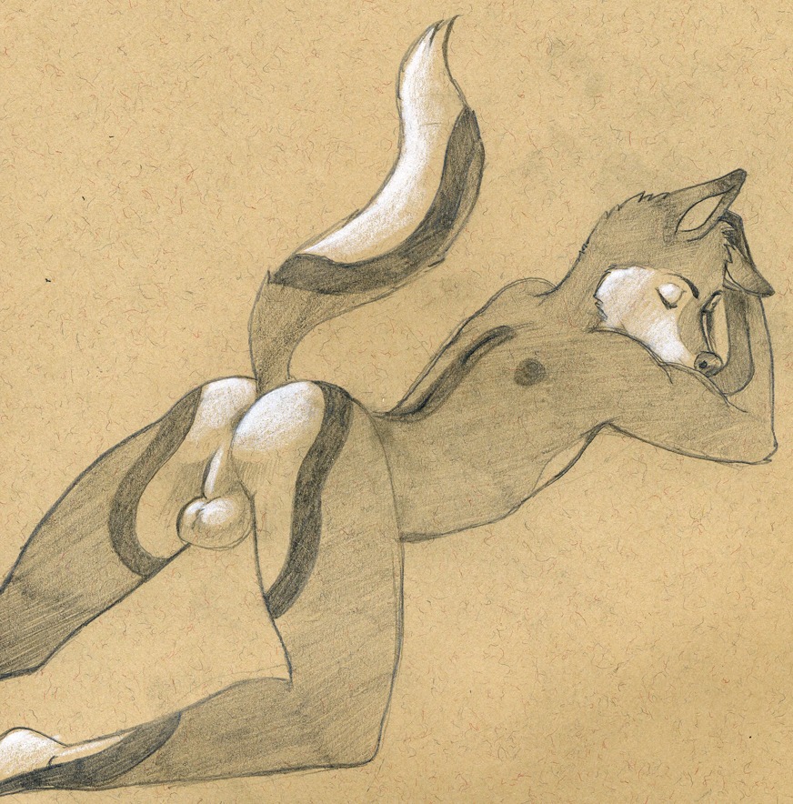anthro arched_back backsack balls canid canine canis e621 eyes_closed genitals male mammal nude presenting raised_tail solo tail tush_(artist) wolf