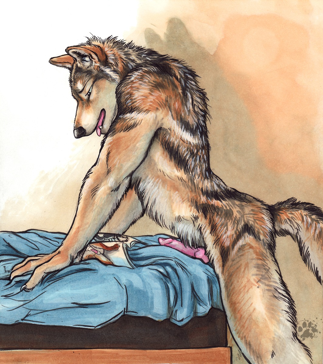 2012 animal_genitalia animal_penis anthro balls bed bedding biped blanket blotch breath brown_body brown_fur canid canine canine_genitalia canine_penis canis claws dry_humping e621 erection fur furniture genitals grinding hi_res imminent_orgasm knot looking_at_porn magazine male mammal masturbation mattress nude open_mouth panting pawpads paws penile penile_masturbation penis pornography scratches_volume_6 simple_background solo standing tail tan_body tan_fur tongue tongue_out traditional_media_(artwork) wolf