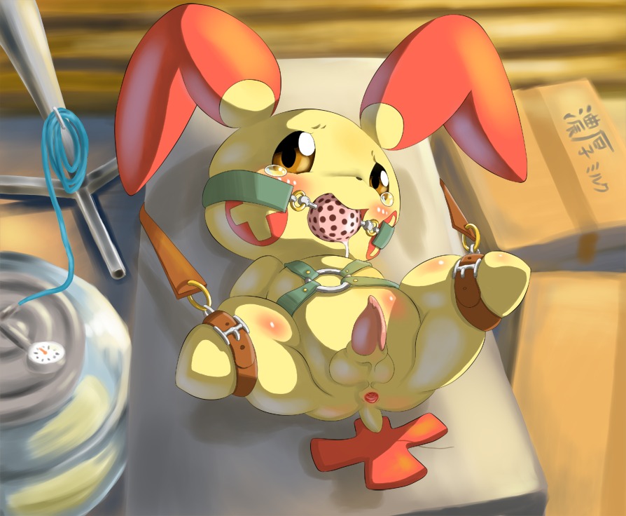 anus ball_gag bdsm blush bodily_fluids bondage bound e621 erection gag gagged generation_3_pokemon genitals japanese_text male nintendo penis plusle pokemon pokemon_(species) solo submissive submissive_male tamanosuke tears text translated