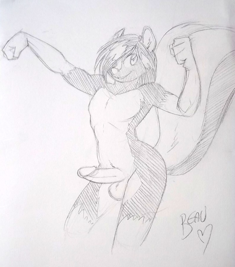 anthro balls big_tail circumcised e621 erection fluffy fluffy_tail fur genitals greyscale humanoid_genitalia humanoid_penis male mammal mephitid monochrome multicolored_body multicolored_fur naughtyjester nude penis sketch skunk solo tail tokeli traditional_media_(artwork) two_tone_body two_tone_fur